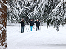 莫吉廖夫佩乔尔森林公园的冬季活动