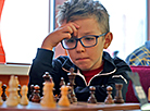 来自6个国家约300名选手齐聚国际象棋锦标赛“奥尔沙-2024”