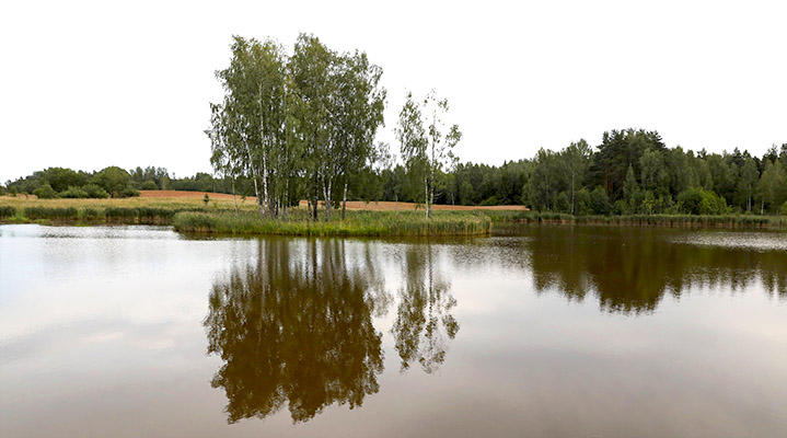 Вольерно-прудовое хозяйство Национального парка "Браславские озера"