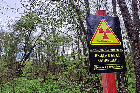 Plans to change approaches to radiation hazardous lands in Belarus