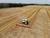 Lukashenko hears out report on harvesting in Vitebsk Oblast