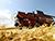 Over 1.8m tonnes of cereals harvested in Belarus