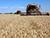 Over 2.1m tonnes of grain harvested in Belarus
