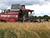 Belarus crops 3m tonnes of grain