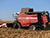 Более 1,4 млн тонн зерна кукурузы намолочено в Беларуси