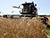 В Беларуси намолотили более 2 млн тонн зерновых колосовых культур