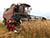 В Беларуси намолочено более 8,1 млн тонн зерна с учетом рапса