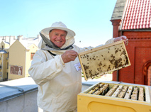 Beekeeping in Minsk