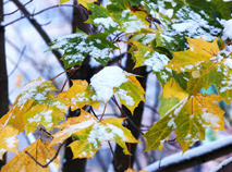 Snowy October in Belarus