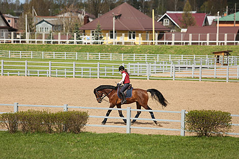 National Olympic Training Center for Equestrian Sports and Horse Breeding