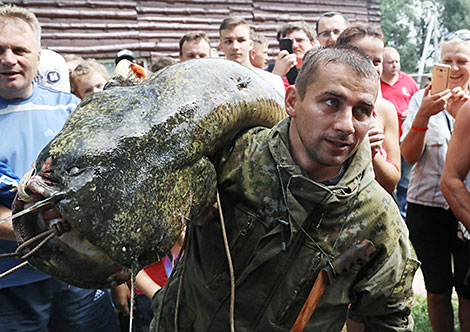 Bard Music & Fishing Festival 2018 record: Nikolai Shepetov catches 40kg catfish