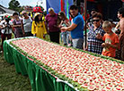 Huge 4.25-meter long tomato sandwich