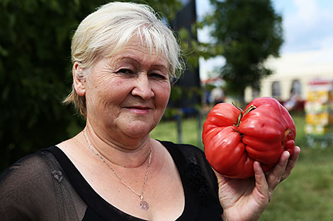 Winner of the contest for the biggest tomato, Ivye resident Galina Shagidevich