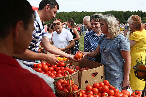 Ivye Tomato Festival