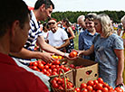 Ivye Tomato Festival