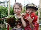 173 grams short of the Guinness record: a giant pepper from Grodno