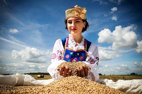 Viktoria Yenko and grain harvest