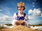 Viktoria Yenko and grain harvest