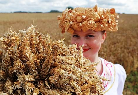 Shklov District is the first to harvest 100,000 tonnes of grain in 2018