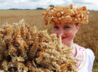 Shklov District is the first to harvest 100,000 tonnes of grain in 2018