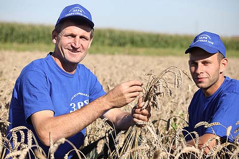 The senior harvester operator Aleksei Makosov and the harvester operator Nikolai Minchenko