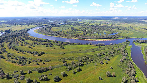 Pripyatsky National Park