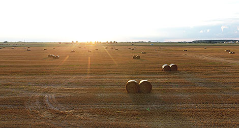 Sunset at the fields of Minsk District