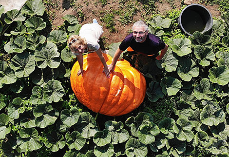 Sergei and Lyudmila Gavranin grow a giant pumpkin in their home garden