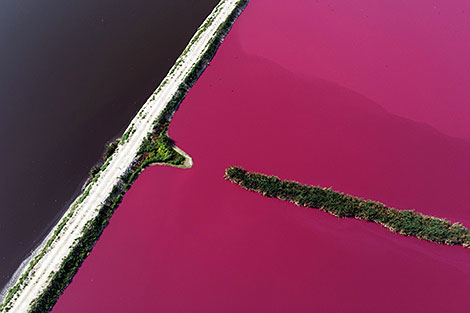 Filtration fields of Skidel Sugar Refinery