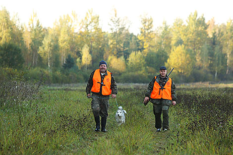 Drive hunting season for hoofed animals is now open