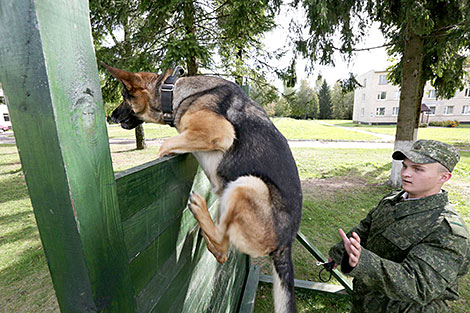 K9 center of Belarus' Armed Forces marks its 25th anniversary