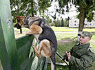 K9 center of Belarus' Armed Forces marks its 25th anniversary