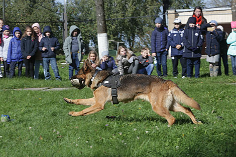 K9 center of Belarus' Armed Forces marks its 25th anniversary