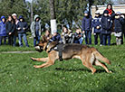 K9 center of Belarus' Armed Forces marks its 25th anniversary