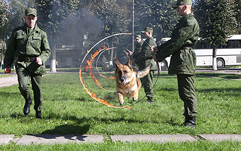 K9 center of Belarus' Armed Forces marks its 25th anniversary