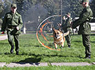 K9 center of Belarus' Armed Forces marks its 25th anniversary