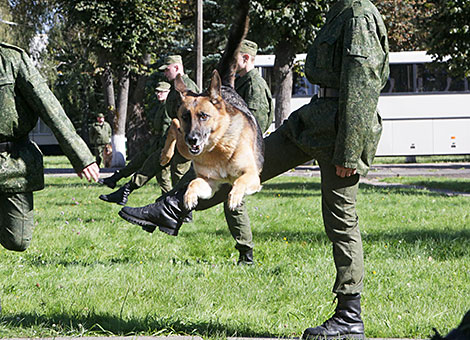 K9 center of Belarus' Armed Forces marks its 25th anniversary