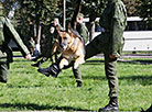 K9 center of Belarus' Armed Forces marks its 25th anniversary