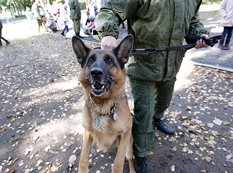 K9 center of Belarus' Armed Forces marks its 25th anniversary