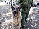 K9 center of Belarus' Armed Forces marks its 25th anniversary