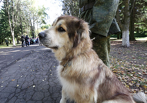 K9 center of Belarus' Armed Forces marks its 25th anniversary