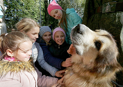 K9 center of Belarus' Armed Forces marks its 25th anniversary