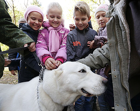 K9 center of Belarus' Armed Forces marks its 25th anniversary