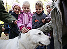 K9 center of Belarus' Armed Forces marks its 25th anniversary