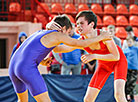 Freestyle and Greco-Roman wrestling tournament in Brest