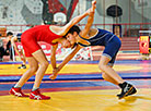 Freestyle and Greco-Roman wrestling tournament in Brest