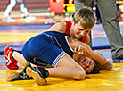 Freestyle and Greco-Roman wrestling tournament in Brest