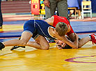 Freestyle and Greco-Roman wrestling tournament in Brest