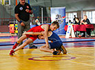 Freestyle and Greco-Roman wrestling tournament in Brest