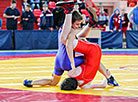 Freestyle and Greco-Roman wrestling tournament in Brest